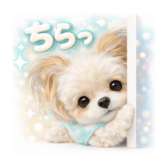 coro_20260509211910