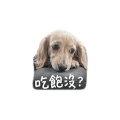 R貴貴