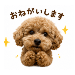 Lucky_20260509152545