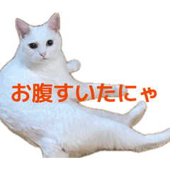 YuuYA_20260509152823