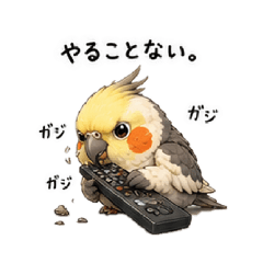 Riona_20260509153359