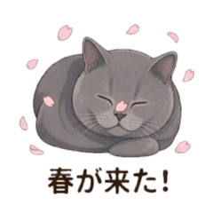 BURI_20260509153720