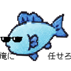 osakana_20260509154600