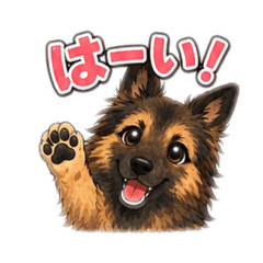 Momo tervueren cute dog!