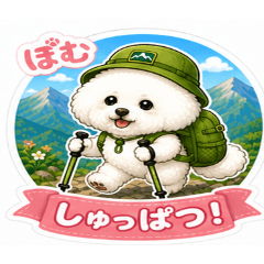 pom_20260509160124