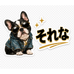 PICWAN_20260509161107