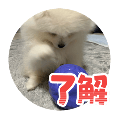 haruharu_20260509161100