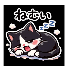 tamapon_20260509183619