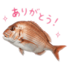 Ohanachan_20260509183539