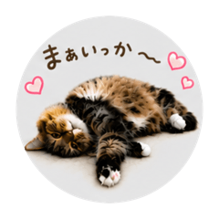 mikan_20260509213728