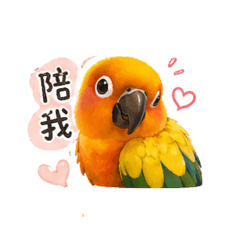 我家鳥小孩