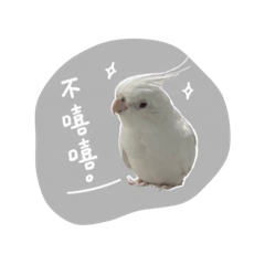 臭小鳥