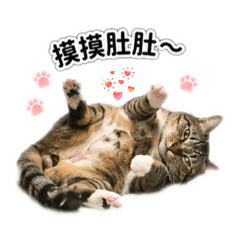 沙米素西小天地7