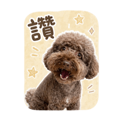 家福的日常用語2