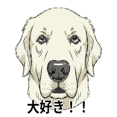 Atsu-kun the Golden: Deadpan Love