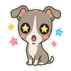 義大利靈緹犬奶油色鹽系 1