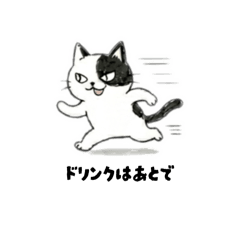 live NEKO