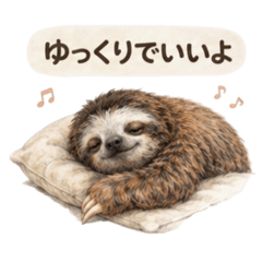 Kimi_20260509152939