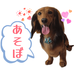 Amemori_20260509154251
