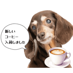 Teto_20260509152844