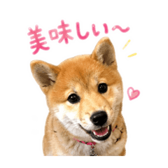 ribbon_20260509211750