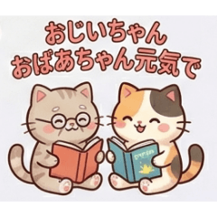 Type B_20260509211504
