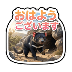 Tasmanian Devil for Polite Communication