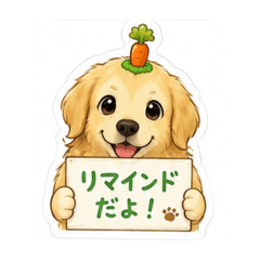 syo_20260509211759
