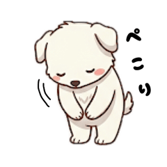 Mimim_20260509212521