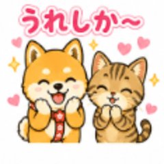 Azuki Shiba Kinako Cat Kumamoto Dialect
