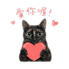 嘿嘿寶貝