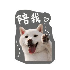 我是楊阿錢