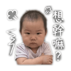 Niki_20260429