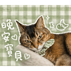 小花貼貼No.1