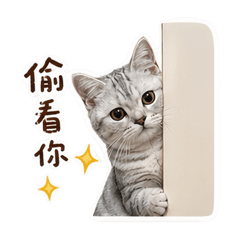 古錐布丁