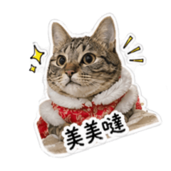 芒果萌寶