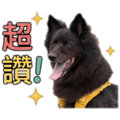 Money手作貼圖