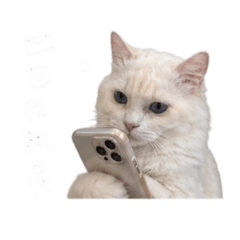我與心愛的他們