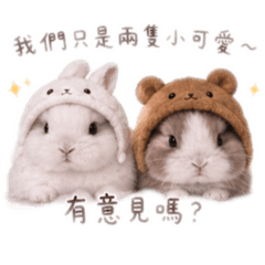 花生麻糬兔