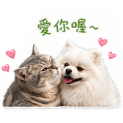 布妞&Q比