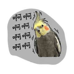 大隻壁虎