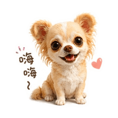 小不點阿屁