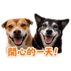 熊熊和米糕