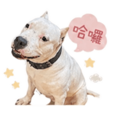潘嘟嘟