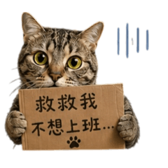 蛋黃的社畜人生part2