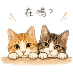 奇哥&蒂妹