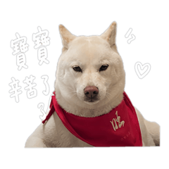 傲嬌のHaru醬