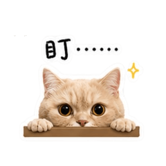 咪咪的朋友-T娜