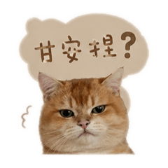 金漸層丁丁的日常o.s