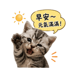 喵道